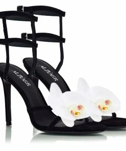 ALZÚARR The Muriel Black Collections