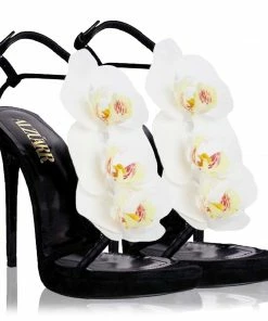 ALZÚARR The Pretty Venus Orchid Black Collections