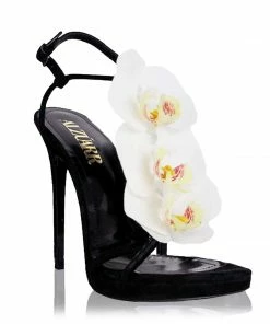 Fabulous Shoes store 5 ALZÚARR The Pretty Venus Orchid Black Collections