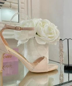 Fabulous Shoes Classy Nude Heel