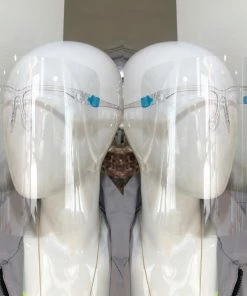 Fabulous Shoes EYEGLASSES COVER MASKS AND FACESHIELS